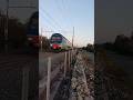 vivalto in transito nei pressi di marina di cerveteri