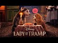 A Dama e o Vagabundo o filme Trailer Dublado 360 graus / Lady and the Tramp 2019 Official Trailer 4K