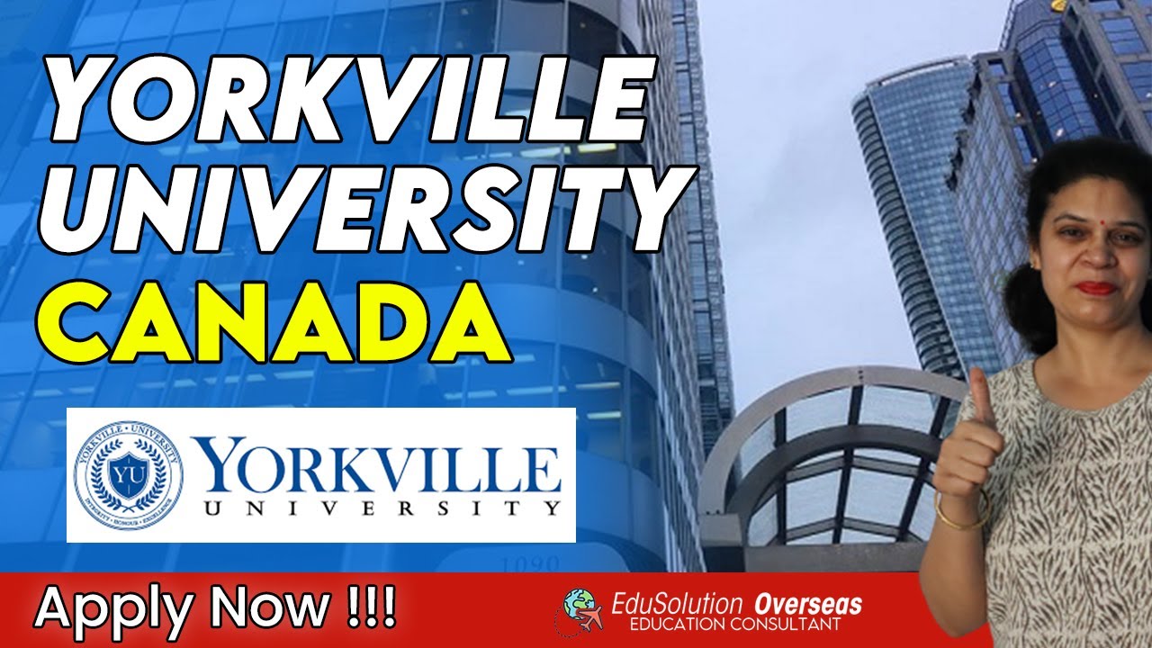 yorkville university assignments