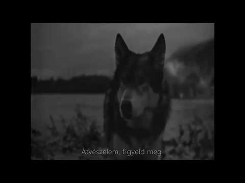 Bryan Adams - Can't take me | Magyar felirattal | Hungarian subtitles