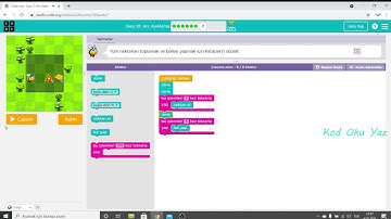 CodeOrg Kurs 2 (10. Arı: Ayıklama)
