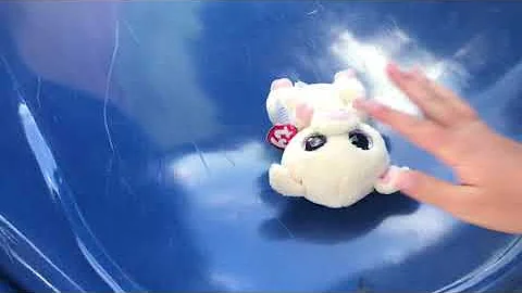 Sandras Beanie Boos Go to the Park