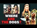 MISSING: Pistol and Boo - Where Are They Now? Amber Heard & Johnny Depp's Australia's Dogs