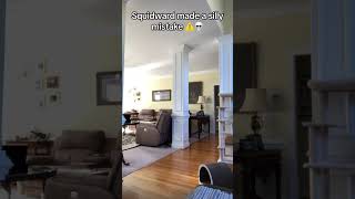 Squidward Gets Obliterated Part 2