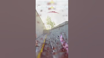 Using Wallhacks And Aimbot lol #shorts