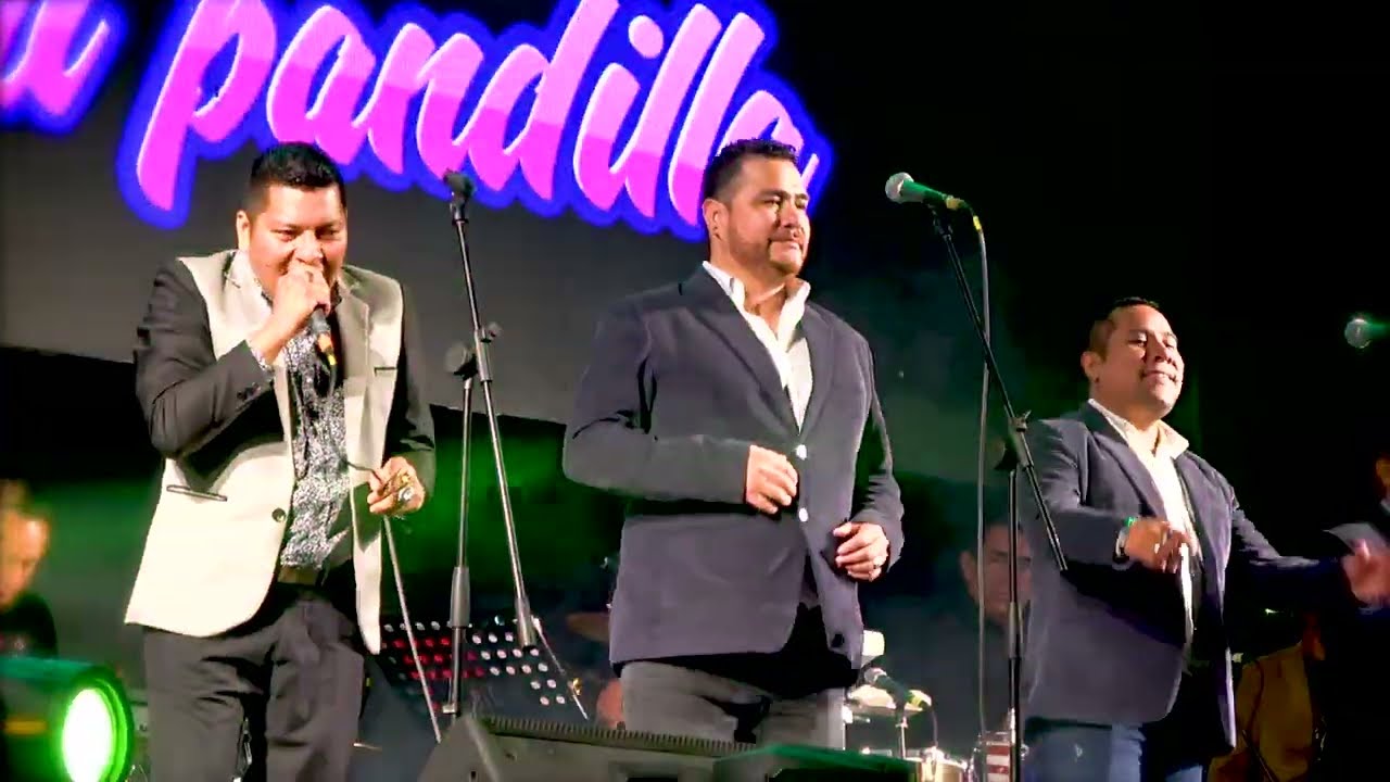 Parranda 8 - Don Gato y su Pandilla (Dennys Otero) FELIZ 28° ANIVERSARIO BETTOS IMPORT