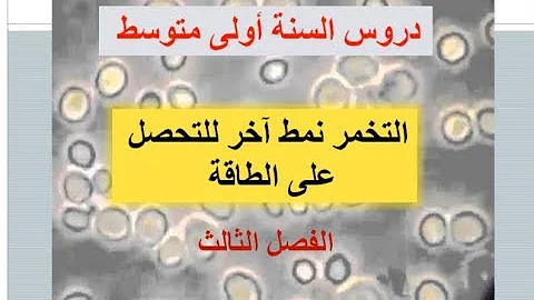 قارن بين التنفس و التخمر اعتماد على الجدول صفحة 83 Mp3