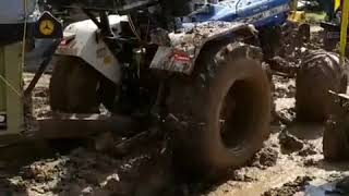 New Holland 3630 💪💪 trolley video