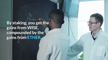 A Brief Introduction To The Wise Token