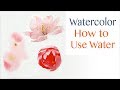 Basics #30 - Tips on how to use water in watercolor painting of flowers