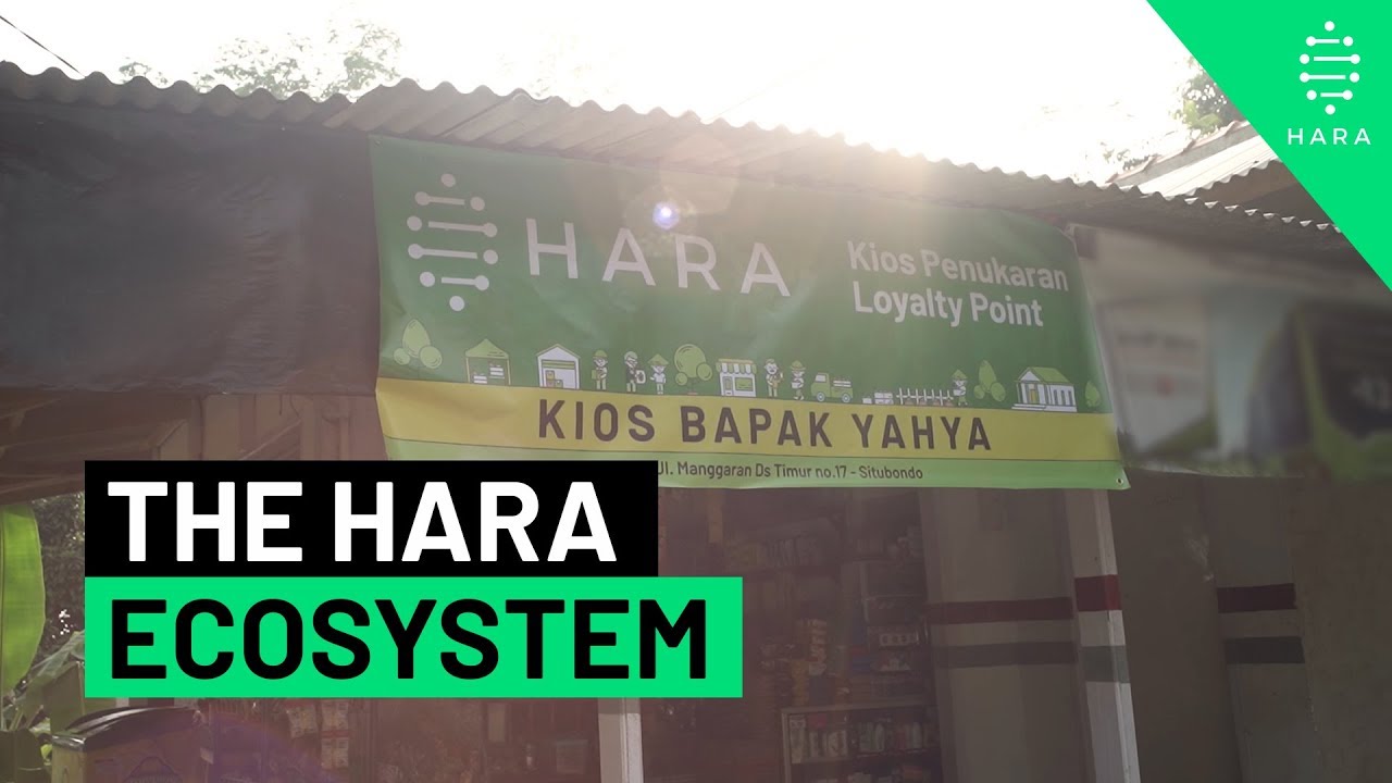 월간 보고서 — 11월 활동 요약보고. 친애하는 Pundian 여러분! | by Pundi X (writers) | Pundi X |  Medium