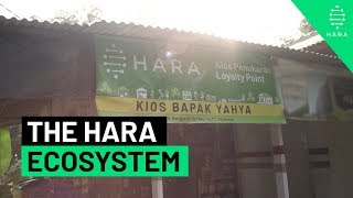 Download Lagu The HARA Ecosystem MP3