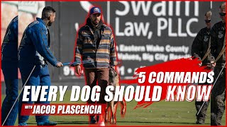 Master These 5 Essential Commands for a Well-Behaved Dog with Jacob Plascencia | Episode 16