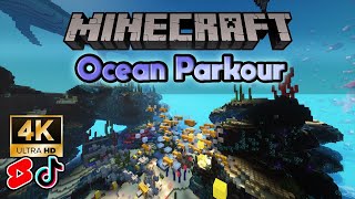 33 minute Minecraft Ocean Parkour in 4K (Reef Race and more, Download in description)