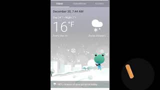 Google frog weather screenshot 2