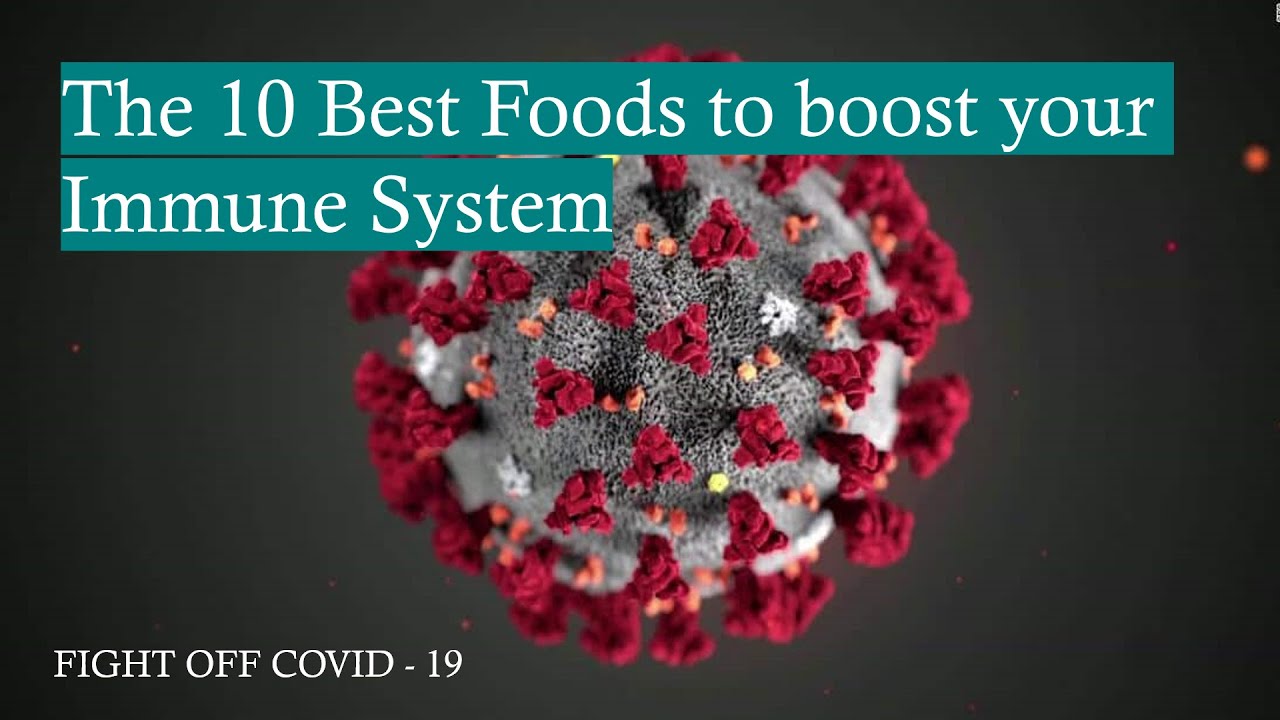The 10 best foods to boost your IMMUNE SYSTEM | F2F - YouTube