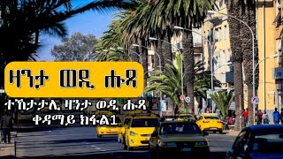 New Eritrean Zanta Wedi Husta part 1