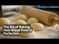 The Art of Baking: How Bread Rises to Perfection