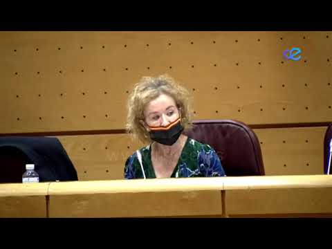 Debate sobre la equiparación entre las FCSE y las policías autonómicas