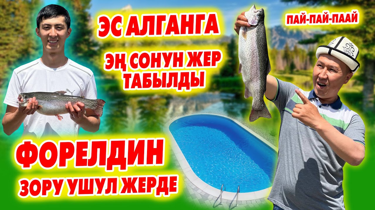 Эң ширин ФОРЕЛЬ мына ушул жерде го ~ Булак суусунда багылган БАЛЫКТАРДЫ жегиле ~ Азыр КЕЛГИЛЕ