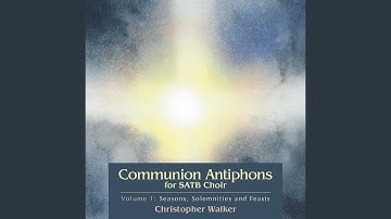 Fourth Sunday of Lent (Year C: When the Gospel of the Prodigal Son Is Read)