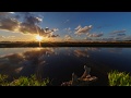 [TIMELAPSE] Sunset between the flower fields