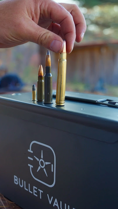 375 H&H Magnum