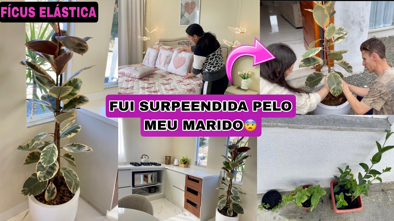 MEU MARIDO ME SURPREENDEU| NOVA MORADORA| LIMPEZA NA CASA| ACHAMOS UM TESOURO 😨