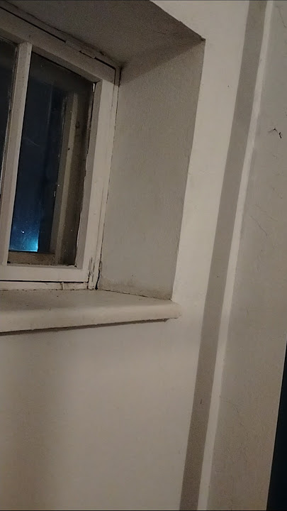 Тауықты кискаға итеріп жіберген видео Тауықты кискаға итеріп жіберген видео