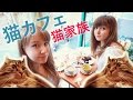 エリサの猫カフェ初体験！貴族の猫家族！Поход в кошачье кафе（えりあし・ロシア人女子）