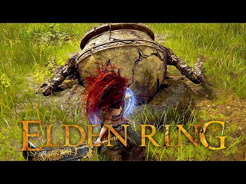 Elden Ring Fans Discuss Why Alexander Keeps Getting Stuck In The