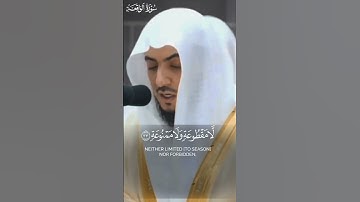 ﴿ وَأَصْحَابُ الْيَمِينِ مَا أَصْحَابُ الْيَمِينِ﴾_تلاوة عذبه من سورة الواقعة_لشيخ الوليد الشمسان