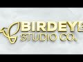 Birdeye studios co logo reveal