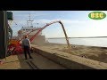 Новинка ПЗС-150 "Вулкан" в работе. Выгрузка зерна из вагонов в судно (3000 тонн).