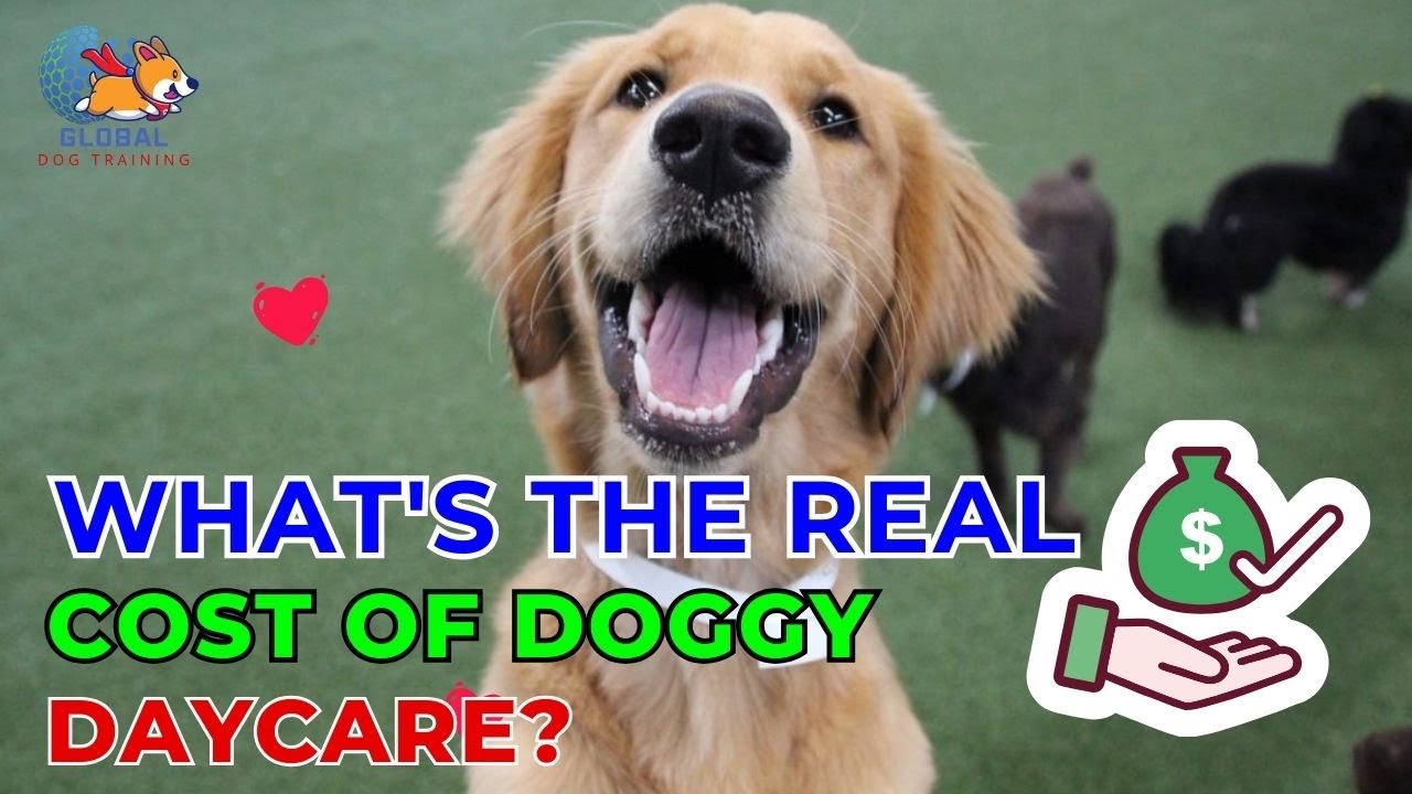 Unveiling The Price Tag What s The Real Cost Of Doggy Daycare Ani Unveiling The Price Tag What s The Real Cost Of Doggy Daycare Ani