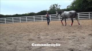 Fernando Rolim e Duelo