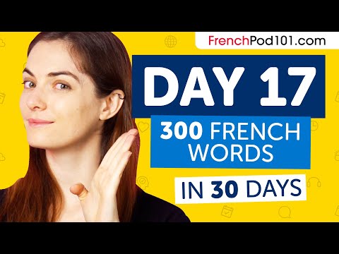 Day 17: 170/300 | Learn 300 French Words in 30 Days Challenge