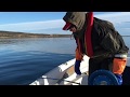 Oktoberfiske i vakre Varanger