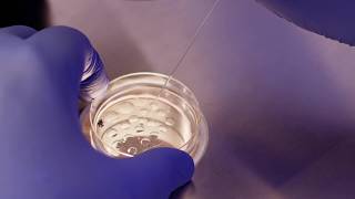Save up to 60 on Chromatography Consumables