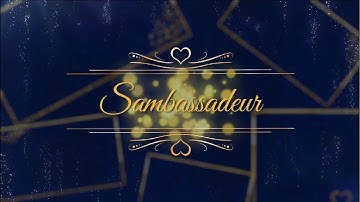 SAMBASSADEUR - Subtle Changes