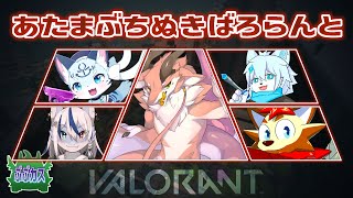 【VALORANT】待ちに待ったブブカスタム！後半【コラボ】【シカライブ】