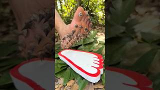 STYROFOAM Hacks For Emergency Survival? #survival #camping#survivalskills😂🤣😱😭