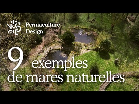 Créer une mare naturelle : 9 exemples inspirants