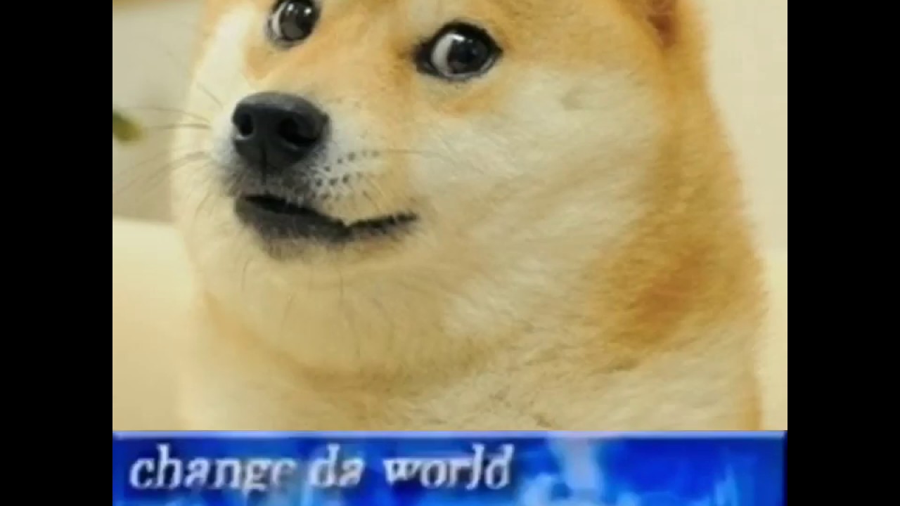 Doge Final Words YouTube