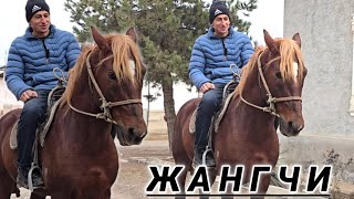 Отни Жангчиси... Сотилади..