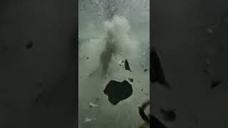 #underwaterPOV #powergridfail #disasterscene #ultrareal #AIdisaster #floodedcity #shorts