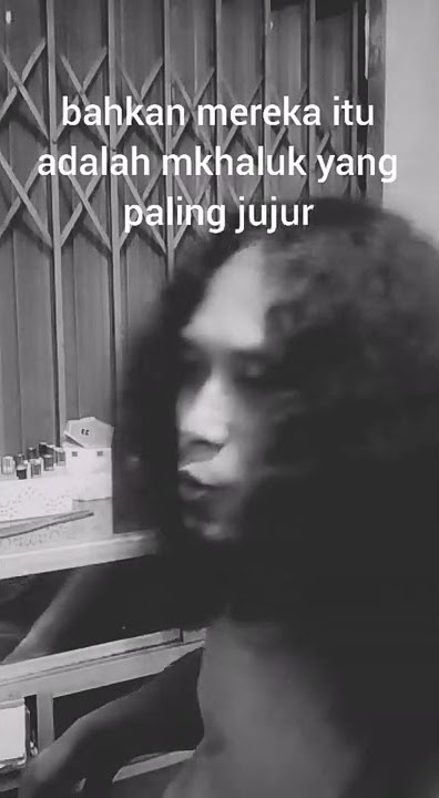 Story WA | Laki-laki Bukanlah Pembohong