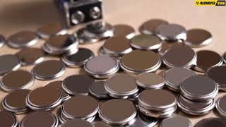 Marking and Labeling Requirements for Fully Regulated Stand Alone Lithium Cells and Batteries