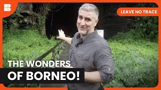 Meet Borneo's Unique Wildlife! - Leave No Trace - S01 EP08 - Travel Documentary