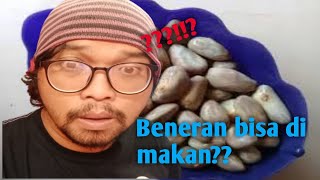 Pengalaman pertama makan beton nangka 😁
